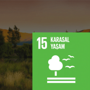 SDG 15 Sürdürülebilir Kalkınma Amacı 15 - Karasal Yaşam