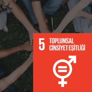 SDG 5 Sürdürülebilir Kalkınma Amacı 5 - Toplumsal Cinsiyet Eşitliği