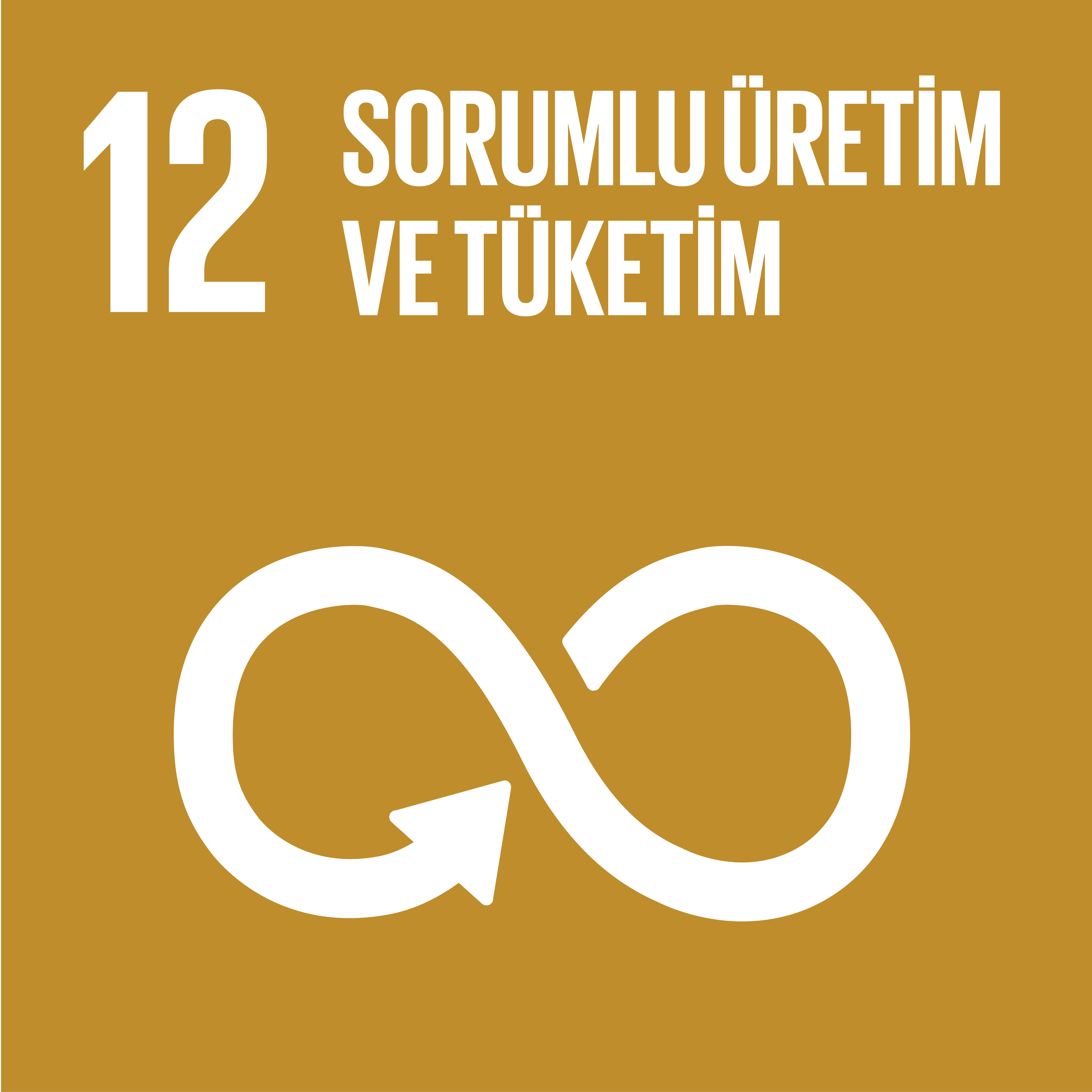 SDG 12 Sürdürülebilir Kalkınma Amacı 12 - Sorumlu Üretim ve Tüketim