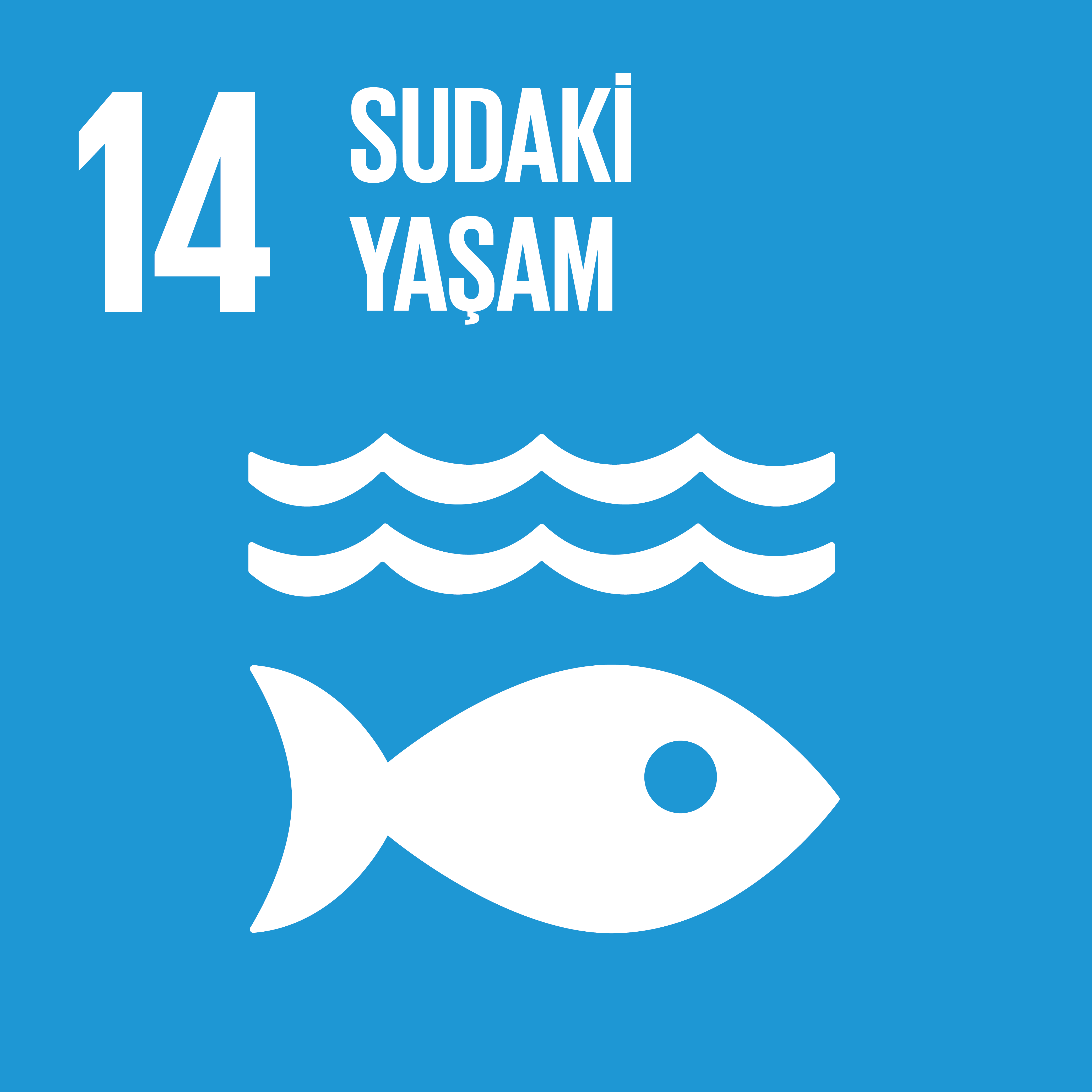 SDG 14 Sürdürülebilir Kalkınma Amacı 14 - Sudaki Yaşam