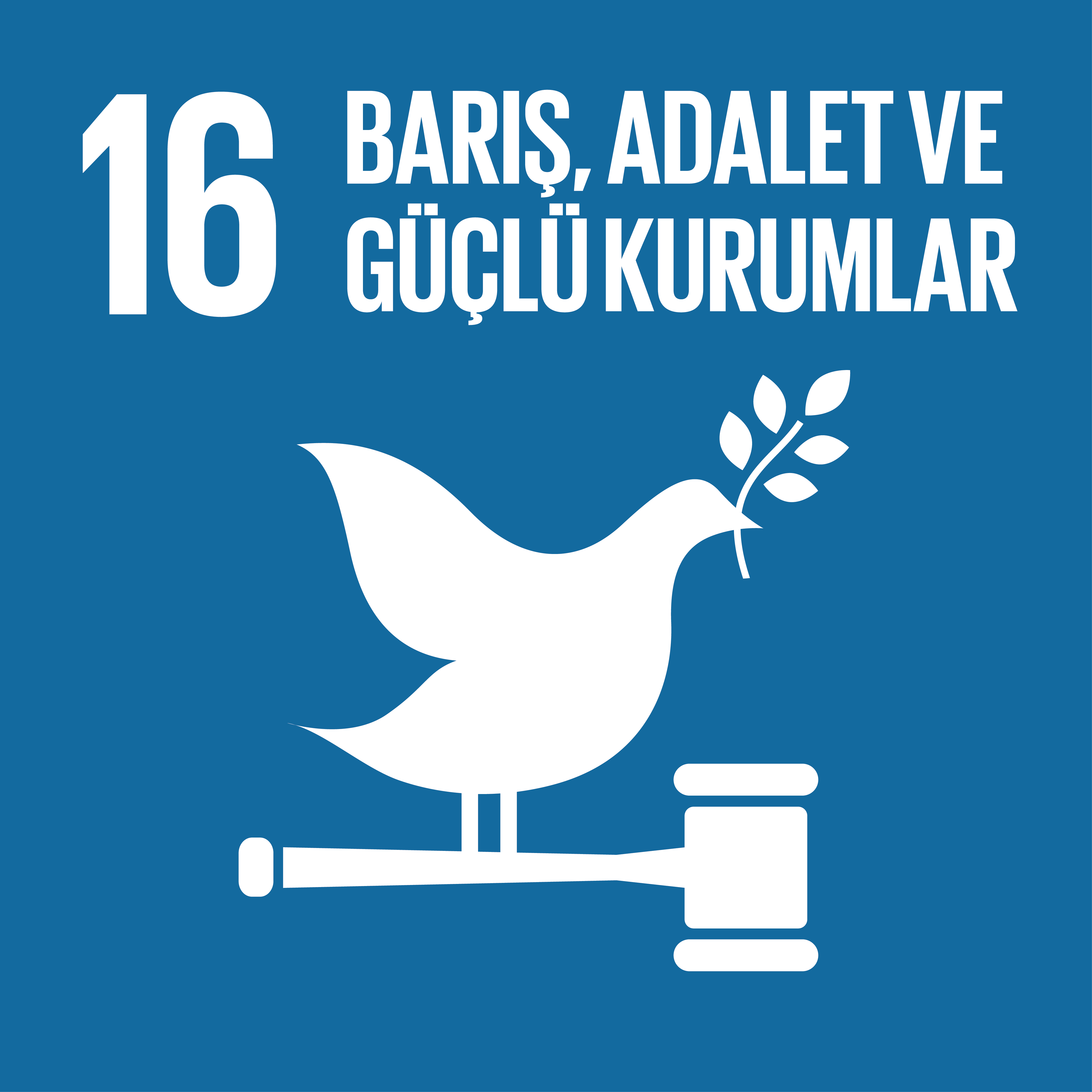 SDG 16 Sürdürülebilir Kalkınma Amacı 16 - Barış, Adalet ve Güçlü Kurumlar