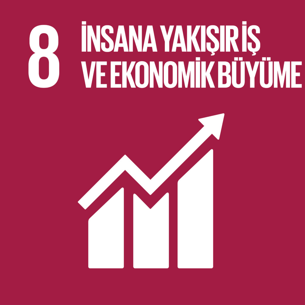 SDG 8 Sürdürülebilir Kalkınma Amacı 8 - İnsana Yakışır İş ve Ekonomik Büyüme